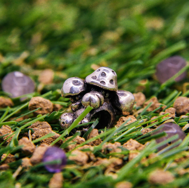 Moress - Moonlight Mushroom
