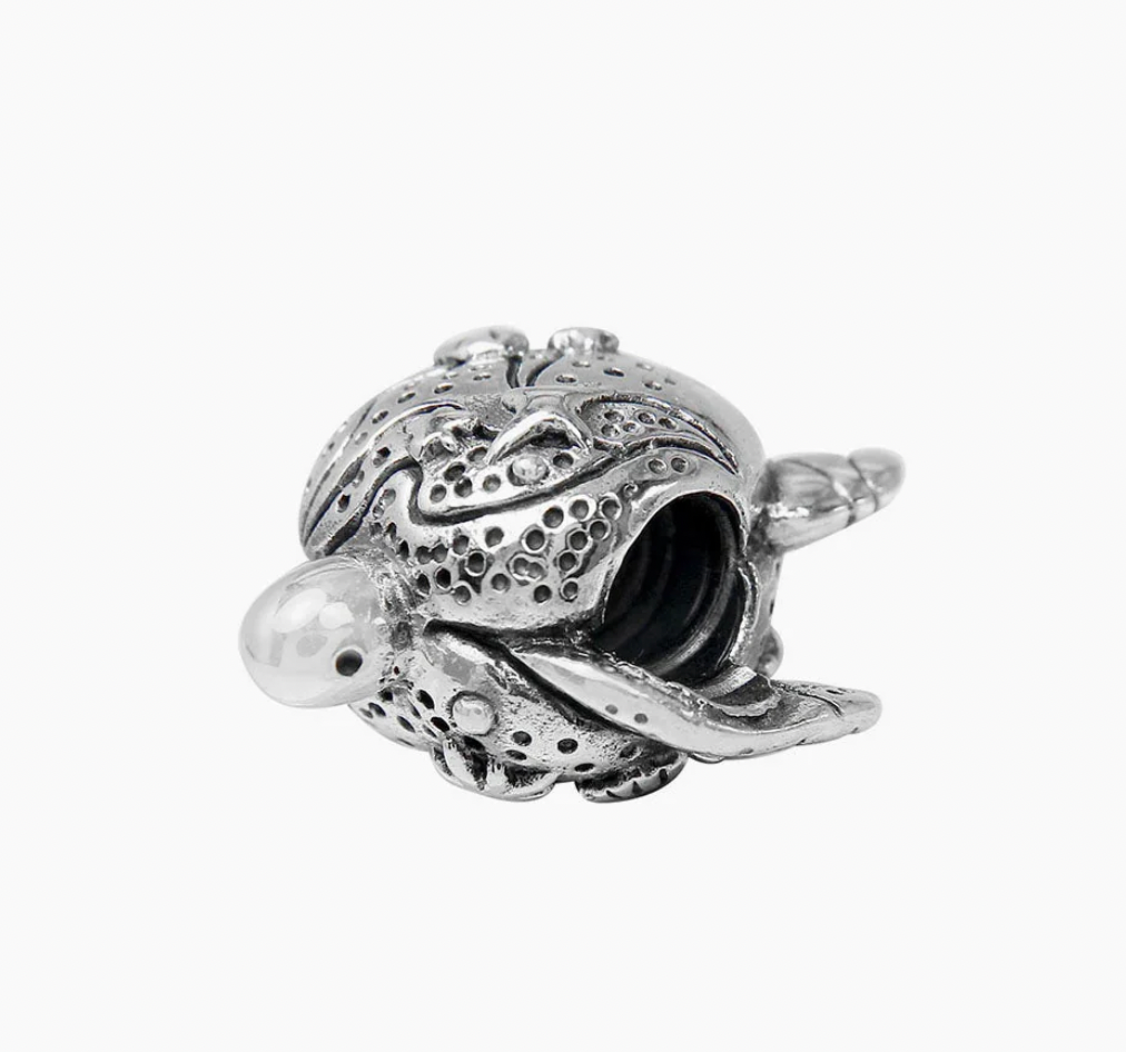 Moress -Elder turtle