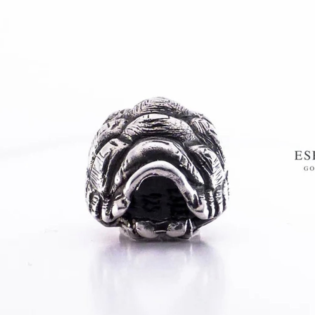 Eske Storm Turtle shell