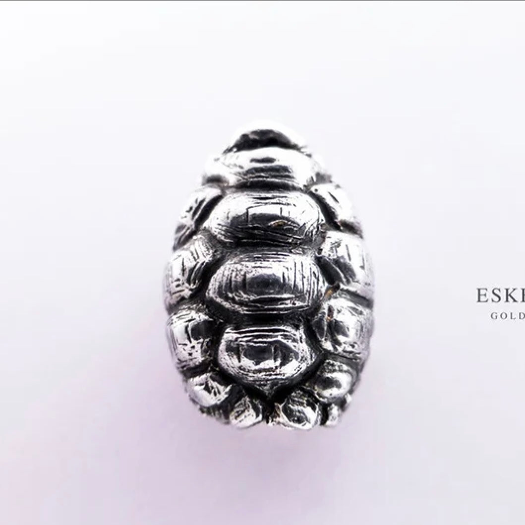 Eske Storm Turtle shell