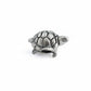 Melina Turtle