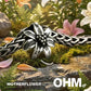 OHMnique - BEADMAIL NO. 66 Motherflower
