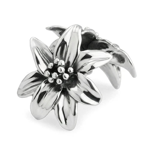 OHMnique - BEADMAIL NO. 66 Motherflower