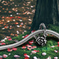 Love Knot
