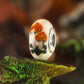 Elfbeads Thankful Mushrooms